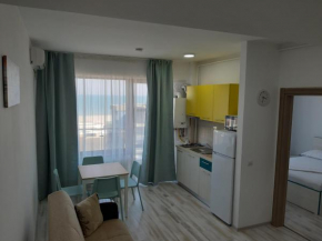 Mamaia Dorin Apartment